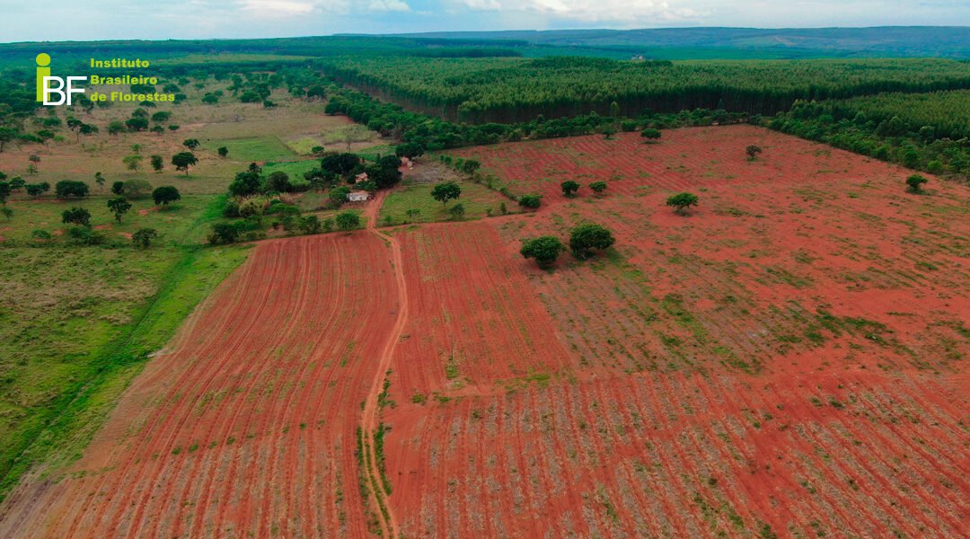 Preço de aquisição da terra para Mogno Africano