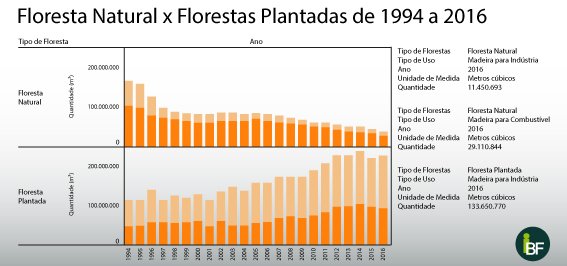 Florestas naturais x florestas plantadas