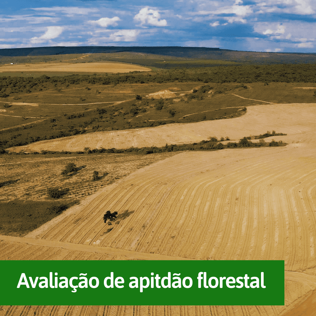 Molduras - Imagens simulador (1) fazenda-polo-florestal-mg