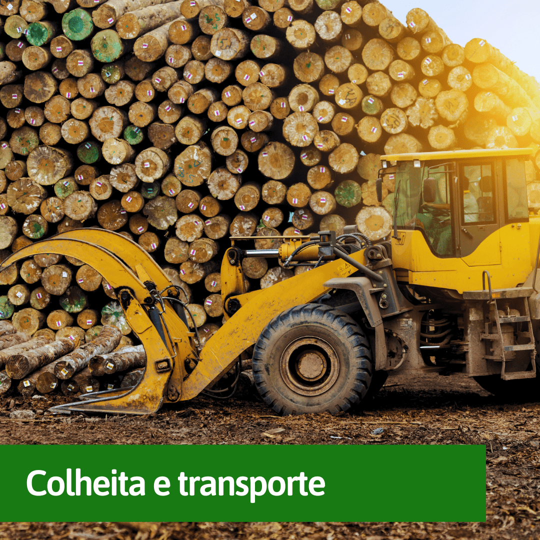 colheita-e-transporte colheita-e-transporte