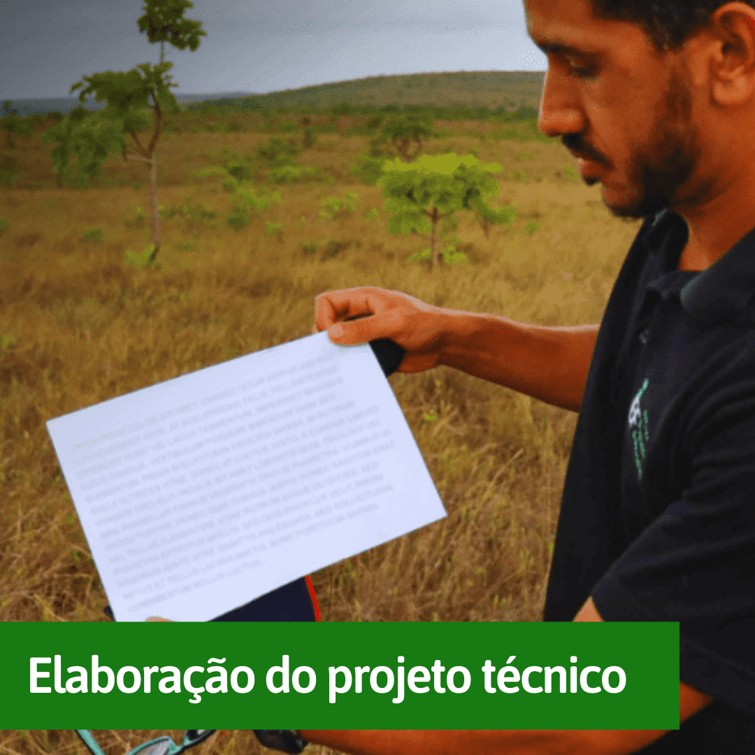 elaboracao-do-projeto-tecnico (1) elaboracao-do-projeto-tecnico (1)