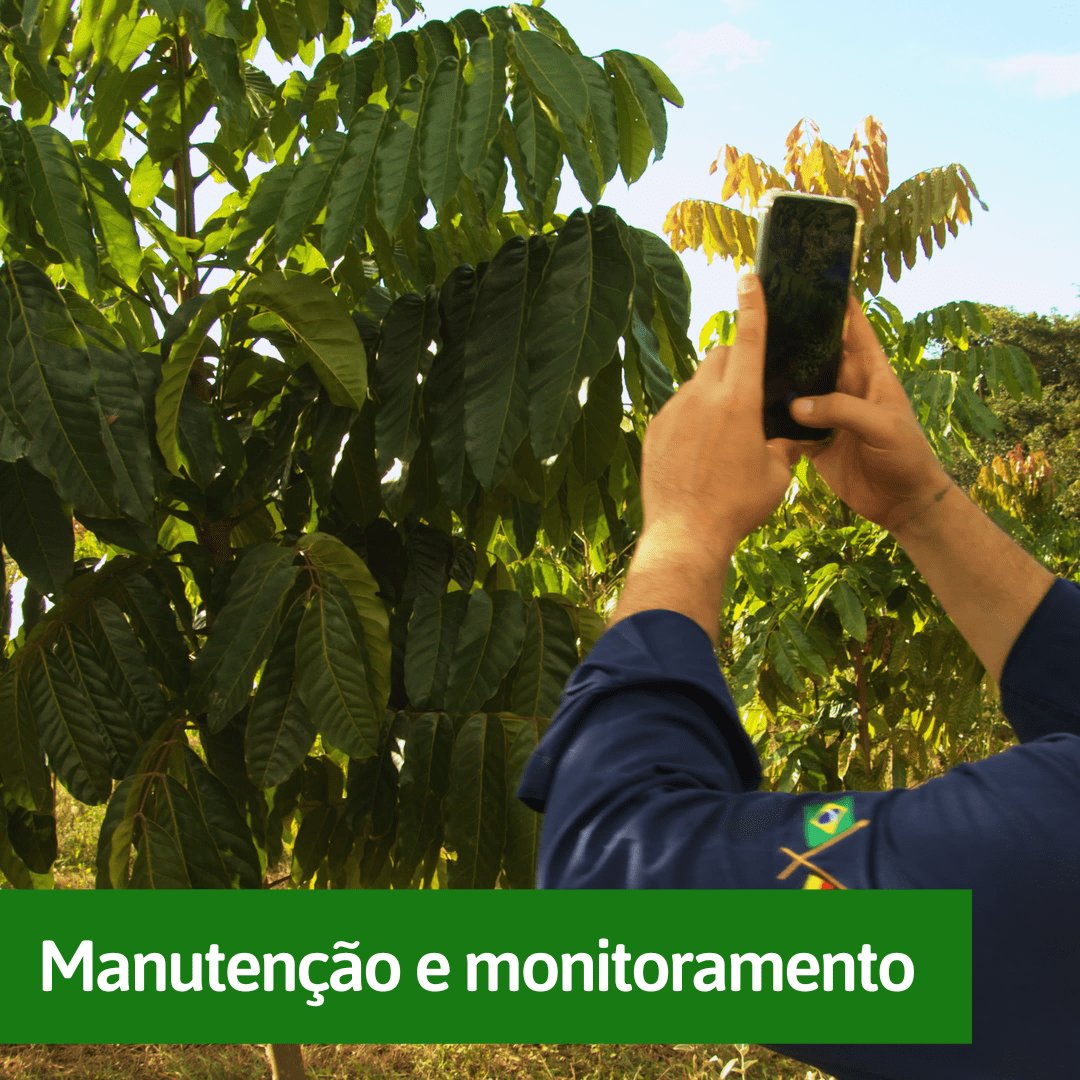 manutencao-e-monitoramento (1) manutencao-e-monitoramento (1)