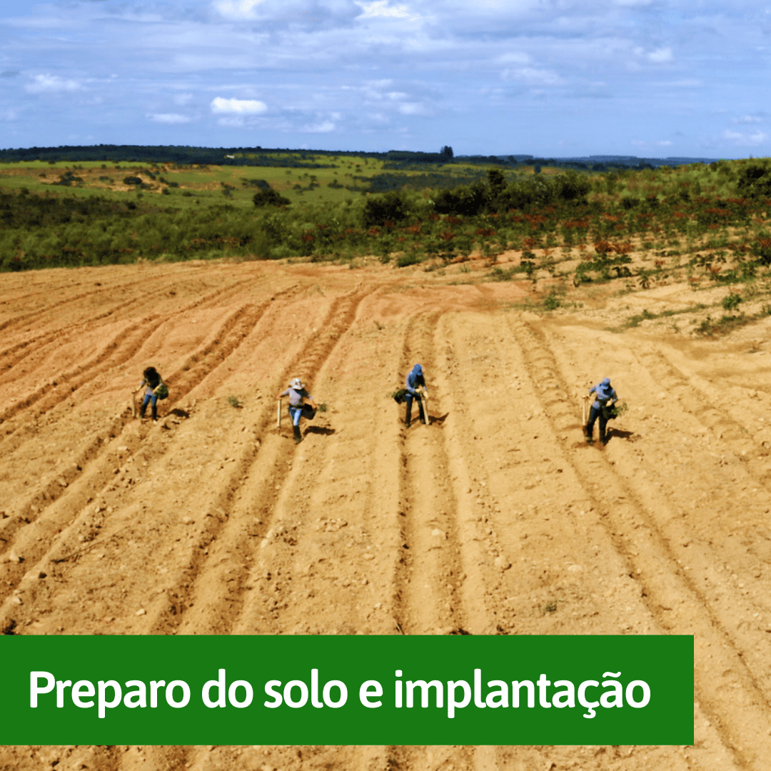 preparo-do-solo-e-implantacao (1) preparo-do-solo-e-implantacao (1)