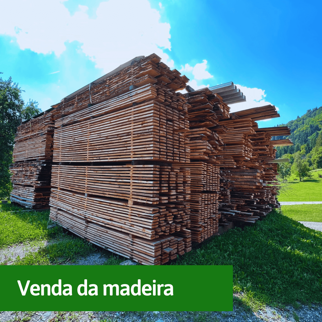 venda-da-madeira (1) venda-da-madeira (1)
